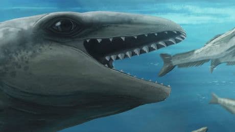 25 Millionen Jahre altes Comic-Monster - Urzeit-Wal sah aus wie ein Pokémon