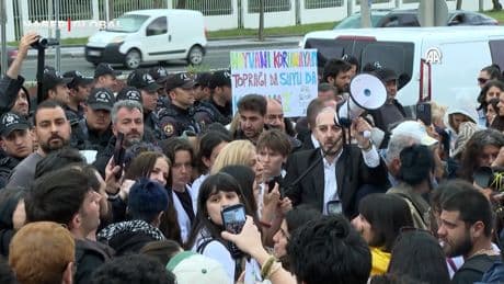 AYM'nin sahipsiz hayvanlarla ilgili kararı protesto edildi