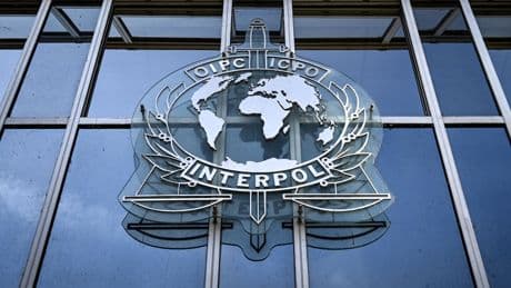 Operation Serengeti 2.0: Großaktion gegen Scammer in Afrika