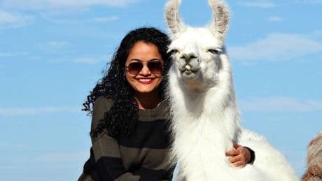Şizofreni tedavisinde beklenmedik bir kahraman: Lama! Uzmanlar şizofreni tedavisinde yeni bir yol buldu