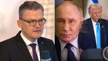 Vor Putins Telefonat mit Trump spricht CDU-Mann in ARD von "Simulation"