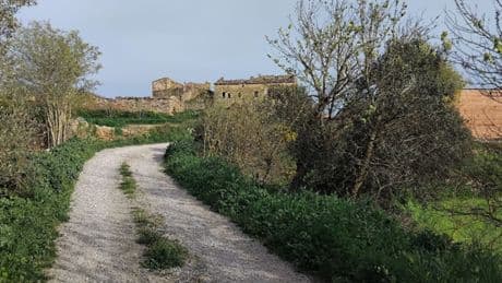 Ruta por Maravella, el pequeño pueblo olvidado que renace cada primavera