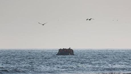 Une centaine de migrants tentant d’atteindre le Royaume-Uni secourus dans la Manche en vingt-quatre heures