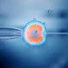 Ethischer Albtraum: Australische Klinik pflanzt Frau falschen Embryo ein