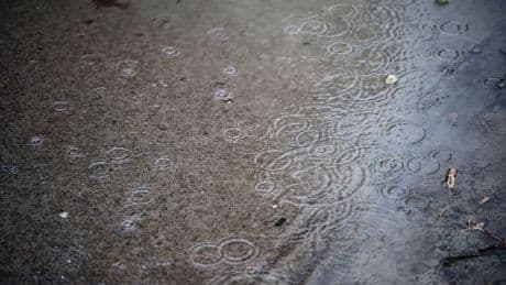 Wetter: Starkregen in MV: Zunächst keine besonderen Vorkommnisse