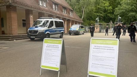 Nürnberger Tiergarten geschlossen: Aktivisten vermuten, dass Paviane getötet werden – Proteste vor dem Eingang