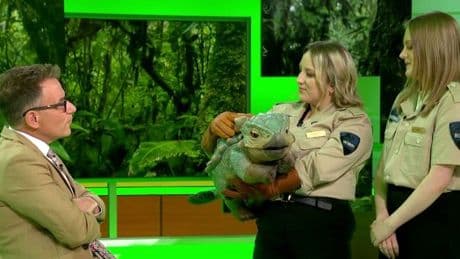 Good Morning Britain ‘turns into CBBC’ as dinosaurs invade set