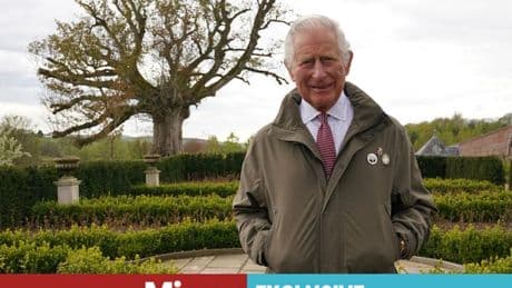 King Charles' unusual gardening hack is a game-changer according to experts
