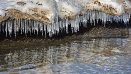 In AI, No Data Is Ever Cold