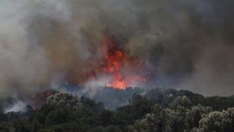Waldarbeiter und Rettungskräfte sterben in Feuer in der Türkei