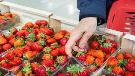 Nur ein Haushaltsmittel nötig: So entfernen Sie Pestizide von Erdbeeren in Minuten