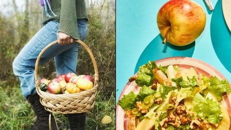 Ernte: Sommer mal den Spätsommer essen?