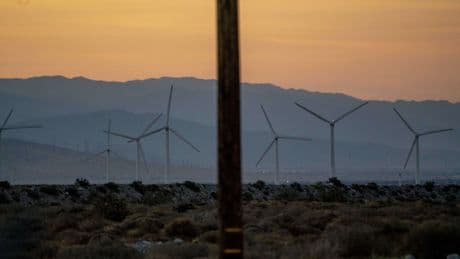 States sue Trump over ‘existential threat’ to wind energy