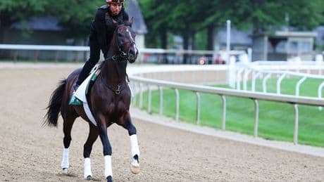 How to watch the 2025 Belmont Stakes for free: Time, live stream, odds