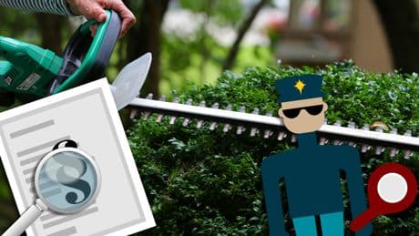 Den ganzen Sommer verboten: Welche Gartenarbeit bis Oktober warten muss
