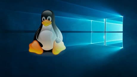 Free10: Windows-10-Klon auf Linux-Basis gratis zum Download