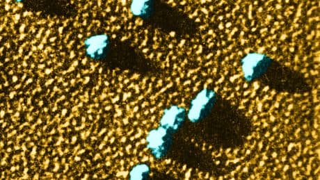 Shining a Light on the World of Microproteins