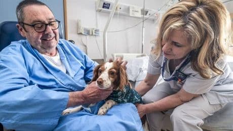 Osakidetza permitirá que los perros acompañen a sus dueños hospitalizados