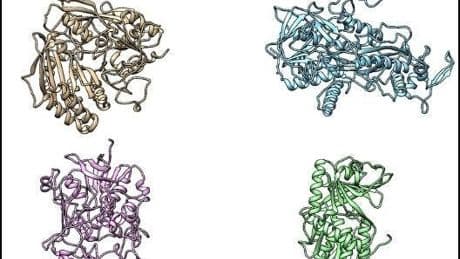 Next Generation Technologies To Unlock Nature’s Enzyme Superpowers