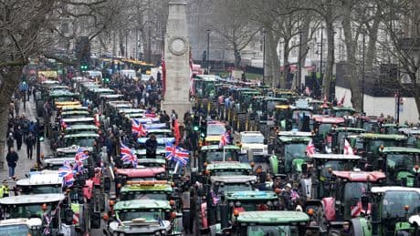 'Future of food security in Reeves' hands': MPs on farming committee call on govt to delay family farm tax