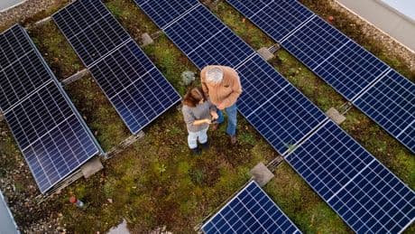 Solarstrom steigern: Solarpaneele und Dachbegrünung kombinieren