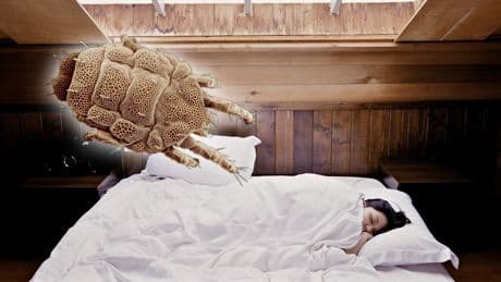 Häufiger als gedacht: So oft sollten Sie Ihre Bettwäsche wechseln