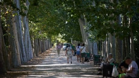 Almeida se abre a modificar el protocolo de cierre de parques por calor extremo si hay unanimidad de todos