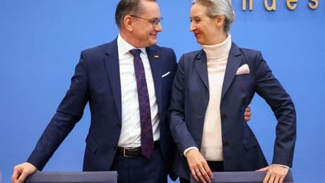 Duitse veiligheidsdienst bestempelt AfD als rechts-extremistisch