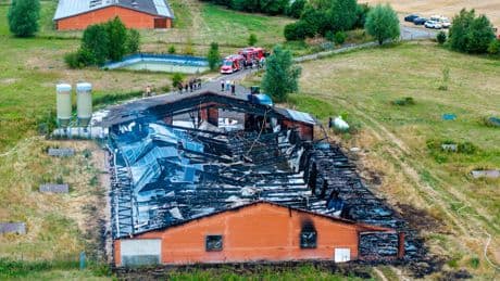 Eine Million Euro Schaden - 10.000 Hühner in Geflügelhof verbrannt