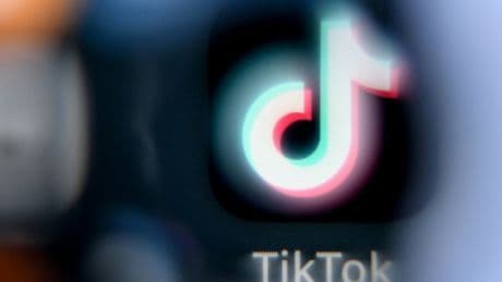 Face au «piège algorithmique», la commission TikTok plaide pour l'interdiction des réseaux sociaux aux moins de 15 ans