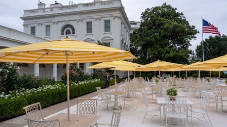 Trump blares ‘Whiter Shade of Pale’ and shows off umbrella flown from Mar-a-Lago in bonkers tour of White House Rose Garden