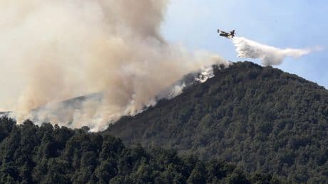 Una visión pragmática del cambio climático