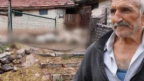 Bir gecede hepsi yok oldu! 'Canavar geldi, hepsini kırdı geçti'