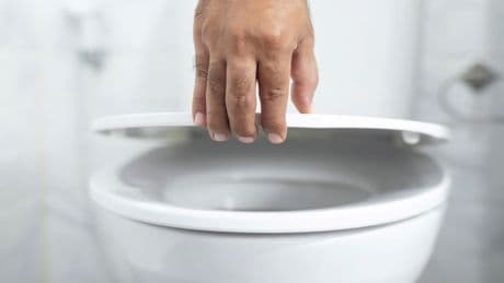 Eklige Überraschung im Badezimmer: Wie Sie schwarze Würmer in der Toilette vermeiden
