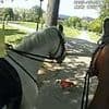 Moment police patrol horses are attacked by out-of-control dog in park