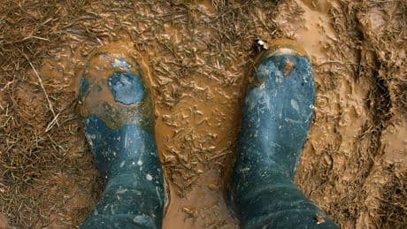 Gartenarbeit bei Regen: Das müssen Sie jetzt beachten