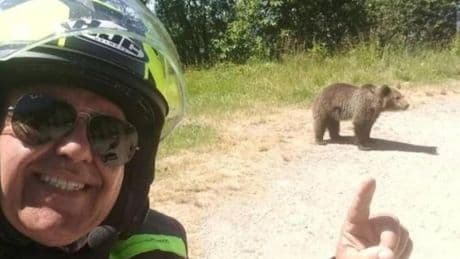 Muere un turista italiano atacado por una osa con crías en Rumanía tras intentar grabarla y alimentarla
