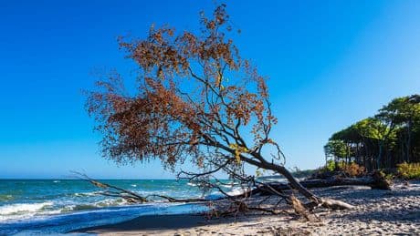 Ostsee-Urlaub 2025: Geheimtipp sorgt für Karibik-Flair | Ausflug Berlin
