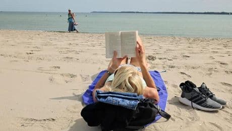 Summer School ☀️: Drei weitere Buchtipps für die Sommerzeit
