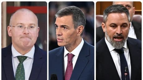 Temporada de otoño: Vox gana color, el PSOE se estira, arrugas Tellado