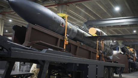 Svelato il super missile da 3000km di Kiev: così "Flamingo" può colpire Mosca