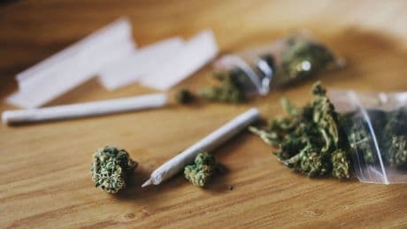 The ins and outs of UK cannabis law - and calls to decriminalise it