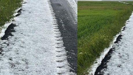 Büyük sürpriz! Bir kent beyaza büründü