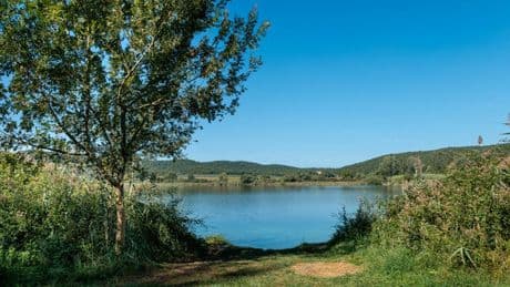Grosseto, ragazzo di 18 anni muore annegato nel lago dell'Accesa a Massa Marittima