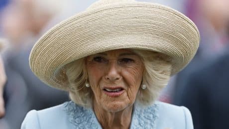 Queen Camilla ‘fought off attacker with high heel,’ book claims
