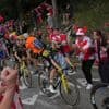 Tour-organisatie roept fans langs parcours op om “niks doms” te doen na virusuitbraak onder runderen op de geschrapte col: “Ziekte kon in volgwagens terechtkomen”