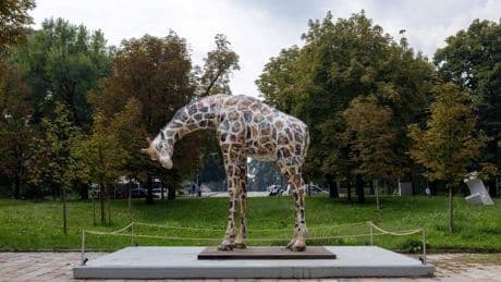 "Inequalities", dopo l'elefante in Triennale arriva la giraffa di Rothschild