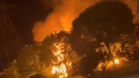 Sultangazi'de ormanlık alanda yangın
