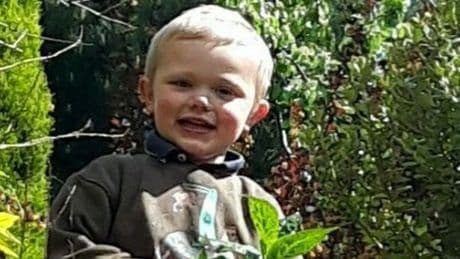 Horror injuries of boy, 3, killed by 'aggressive' guard dogs revealed in court