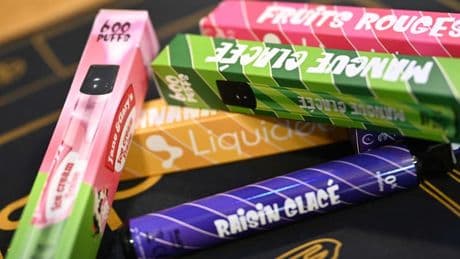 "Le cobaye, c'est l'homme": qu'est-ce que la métatine, dérivé de la nicotine présent dans les cigarettes électroniques?